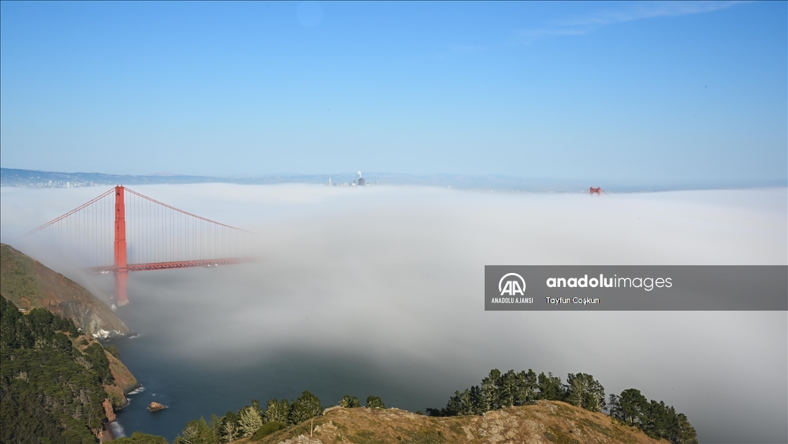 San Francisco Körfezi kaplayan sis