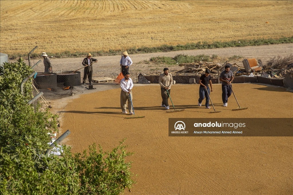 لە هەرێمی کوردستان ساوار و بڕوێش و گەنمەکوتا تا ئێستاش بە رێگای نەریتی دروست دەکرێت