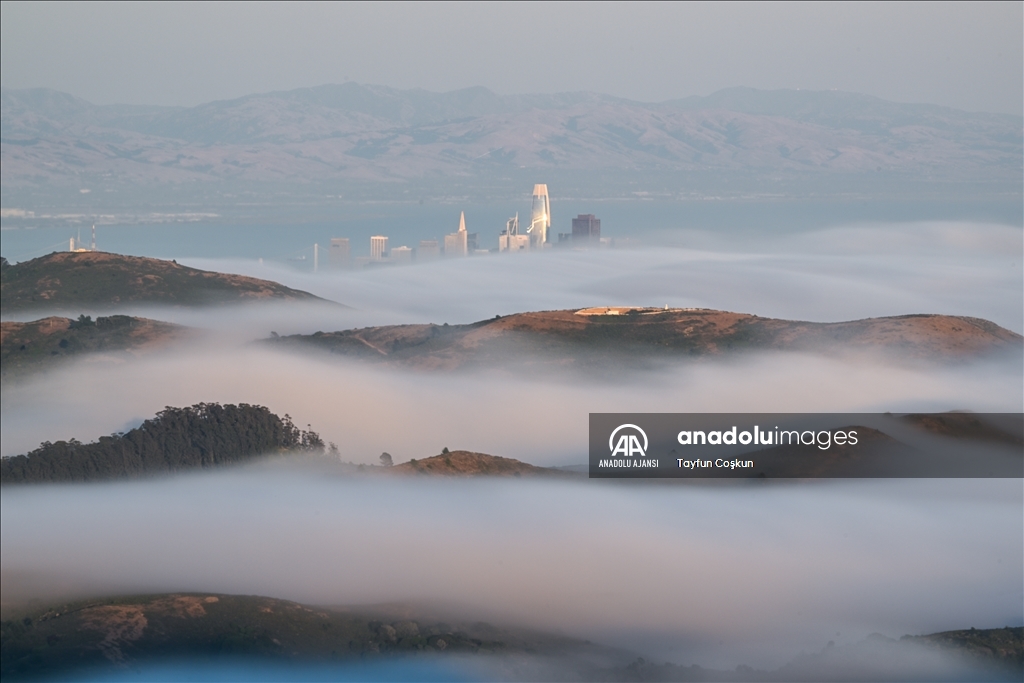 San Francisco Körfezi kaplayan sis