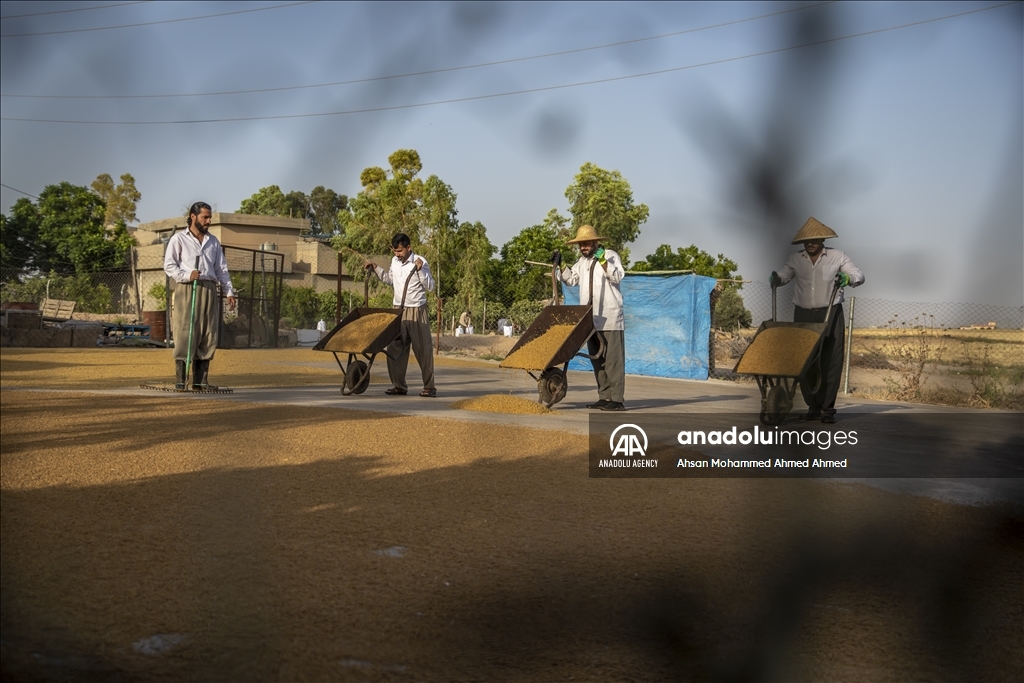 لە هەرێمی کوردستان ساوار و بڕوێش و گەنمەکوتا تا ئێستاش بە رێگای نەریتی دروست دەکرێت