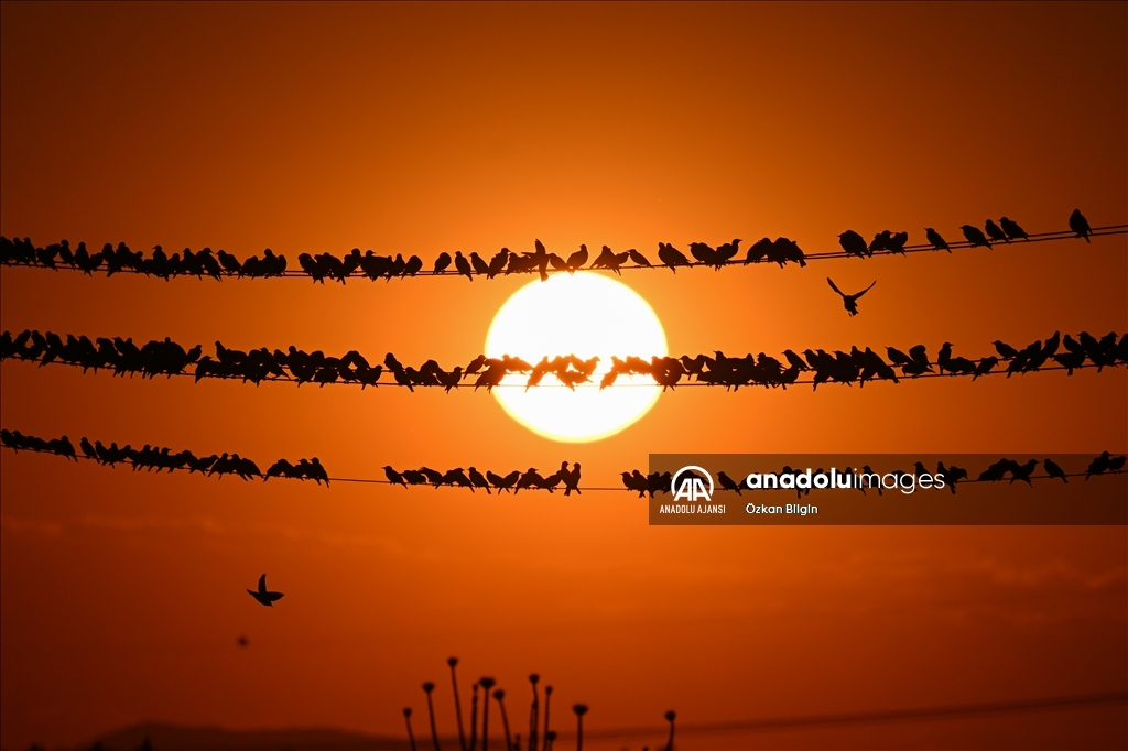 Van'da gün batımı