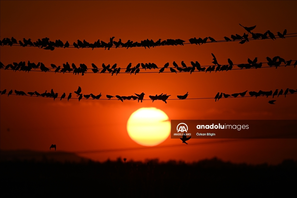 Van'da gün batımı