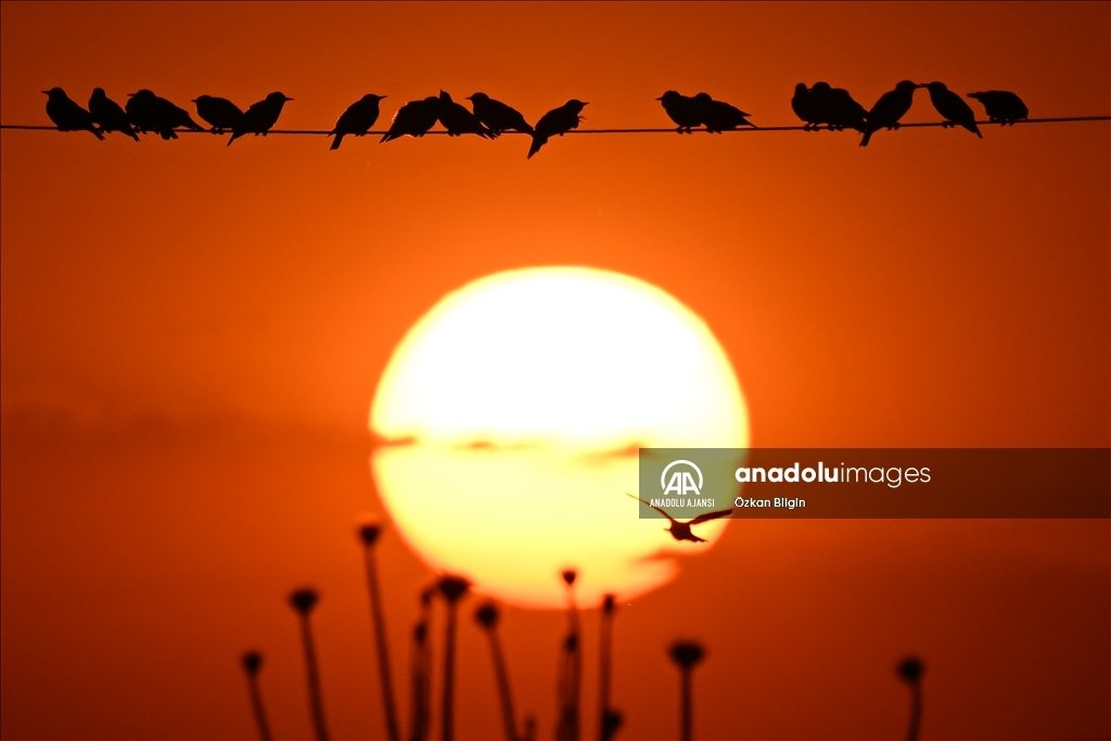 Van'da gün batımı