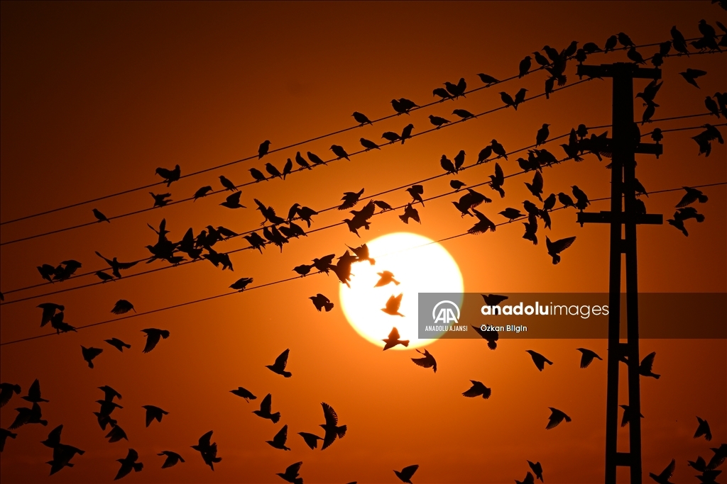 Van'da gün batımı