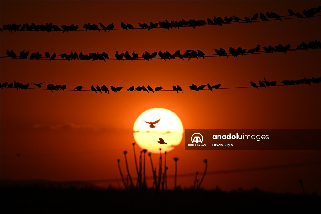 Van'da gün batımı