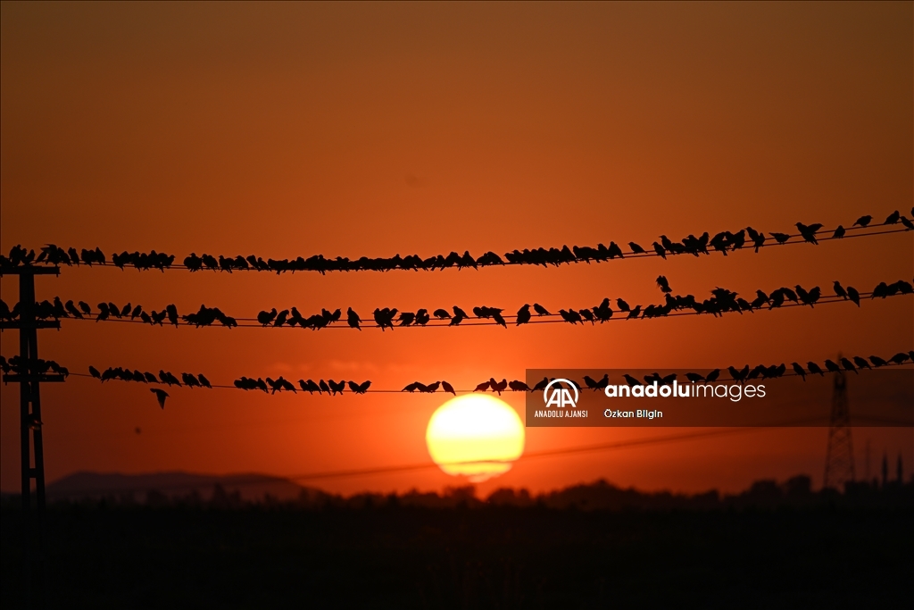 Van'da gün batımı