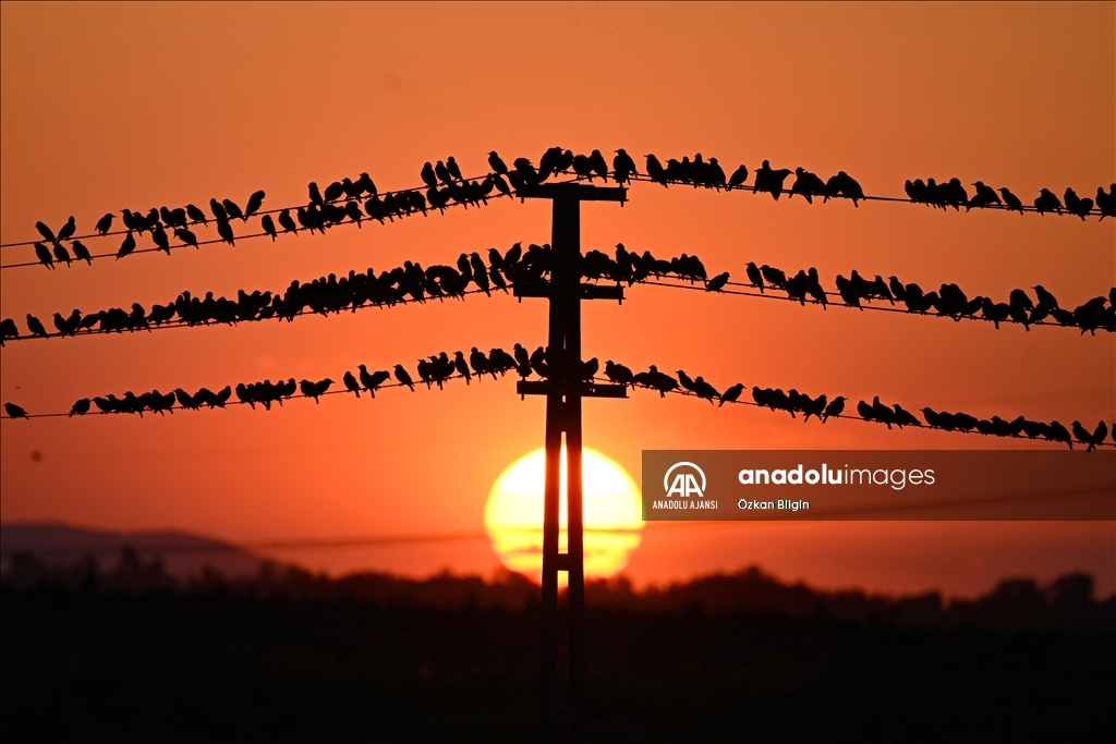 Van'da gün batımı