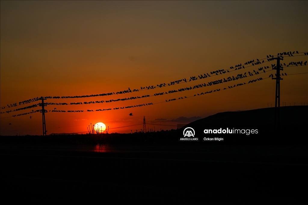 Van'da gün batımı