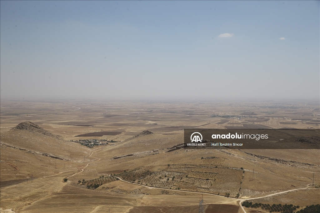 Li Deşta Mêrdînê xêr û bereketa genim zêde ye