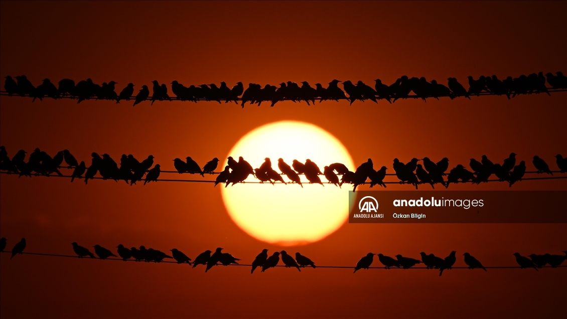 Van'da gün batımı