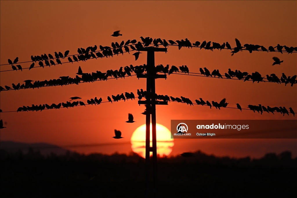 Van'da gün batımı