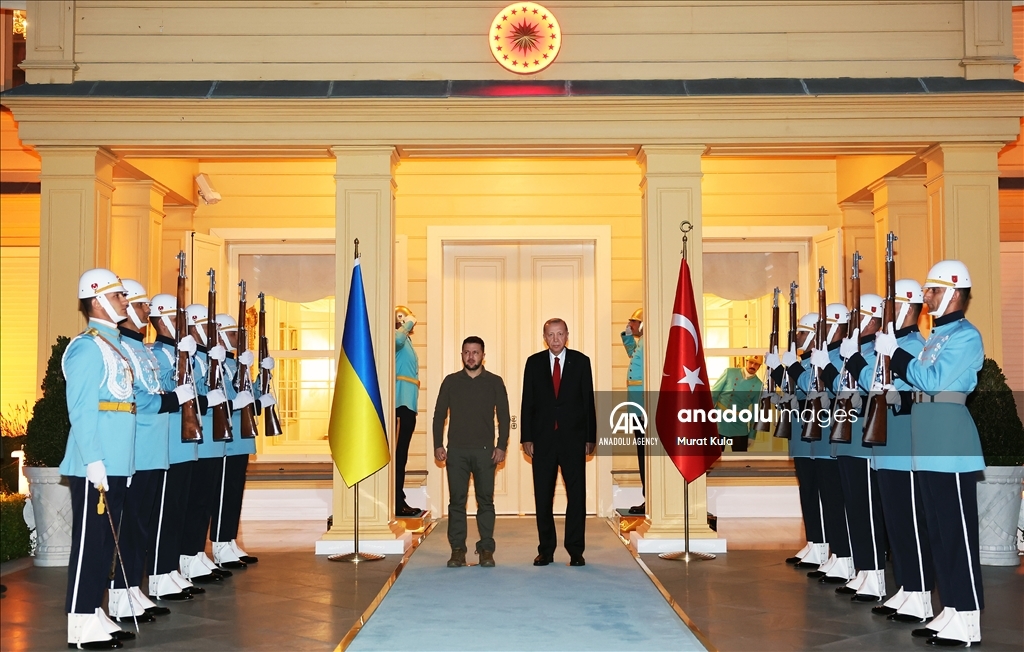 آغاز دیدار اردوغان و زلنسکی در استانبول