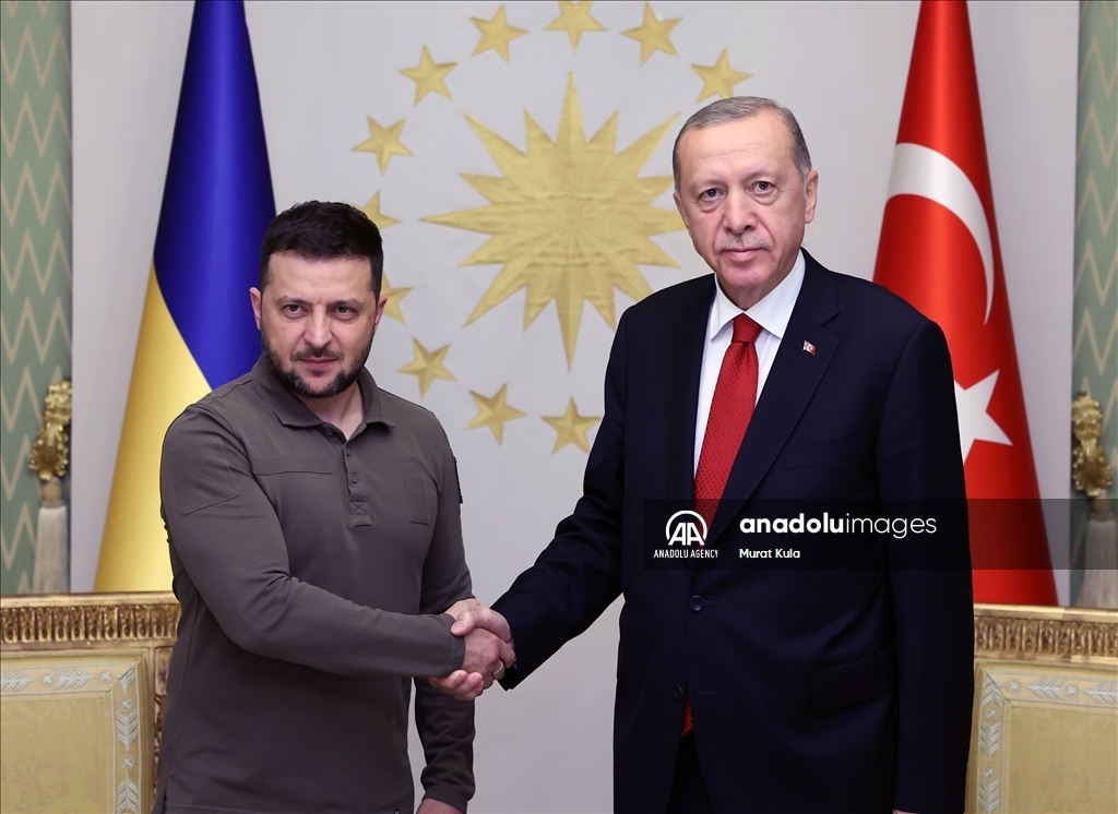 آغاز دیدار اردوغان و زلنسکی در استانبول