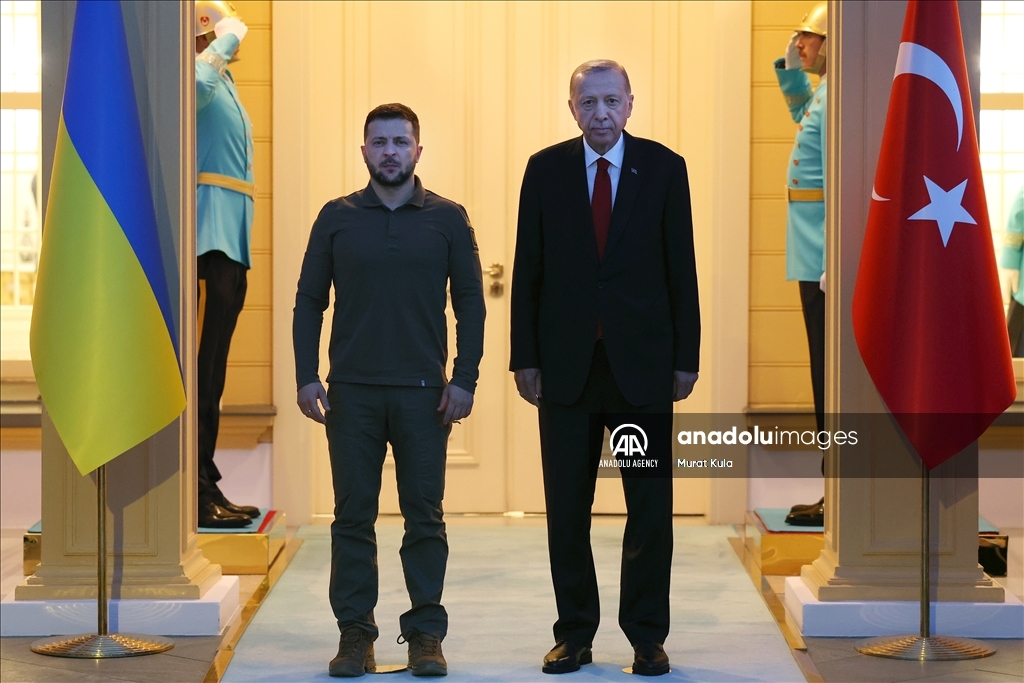 آغاز دیدار اردوغان و زلنسکی در استانبول