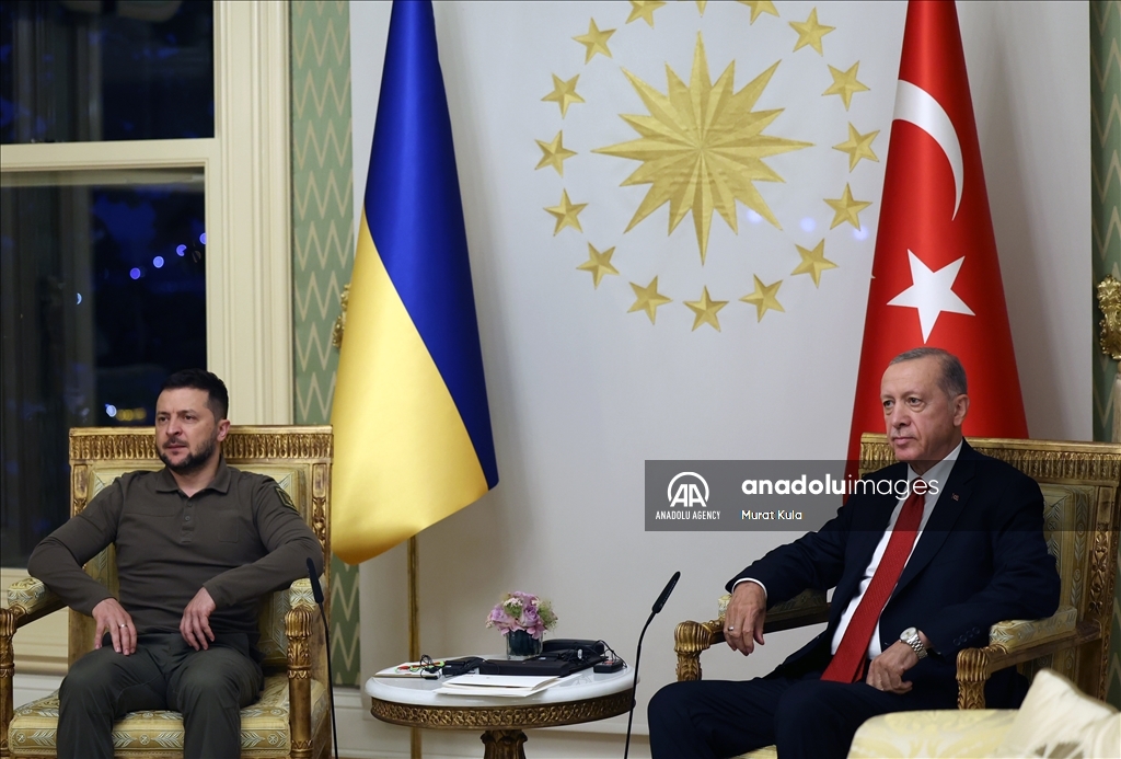 آغاز دیدار اردوغان و زلنسکی در استانبول