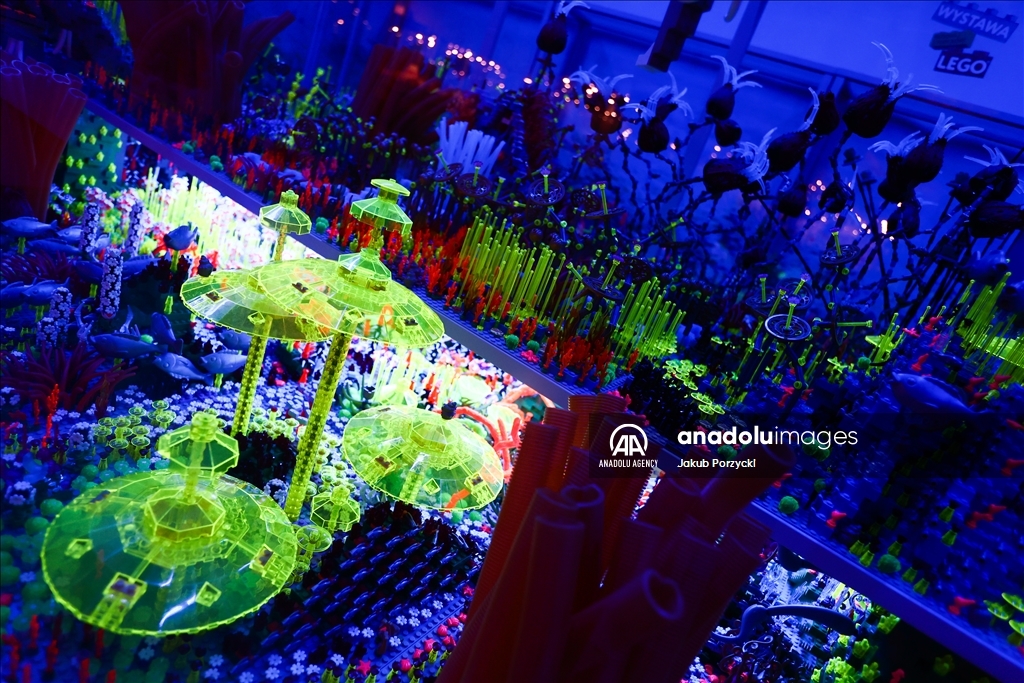 Lego bricks building exhibition in Poland
