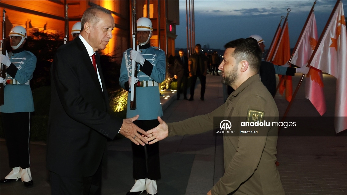 آغاز دیدار اردوغان و زلنسکی در استانبول