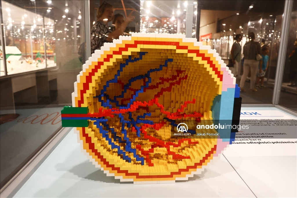 Lego bricks building exhibition in Poland