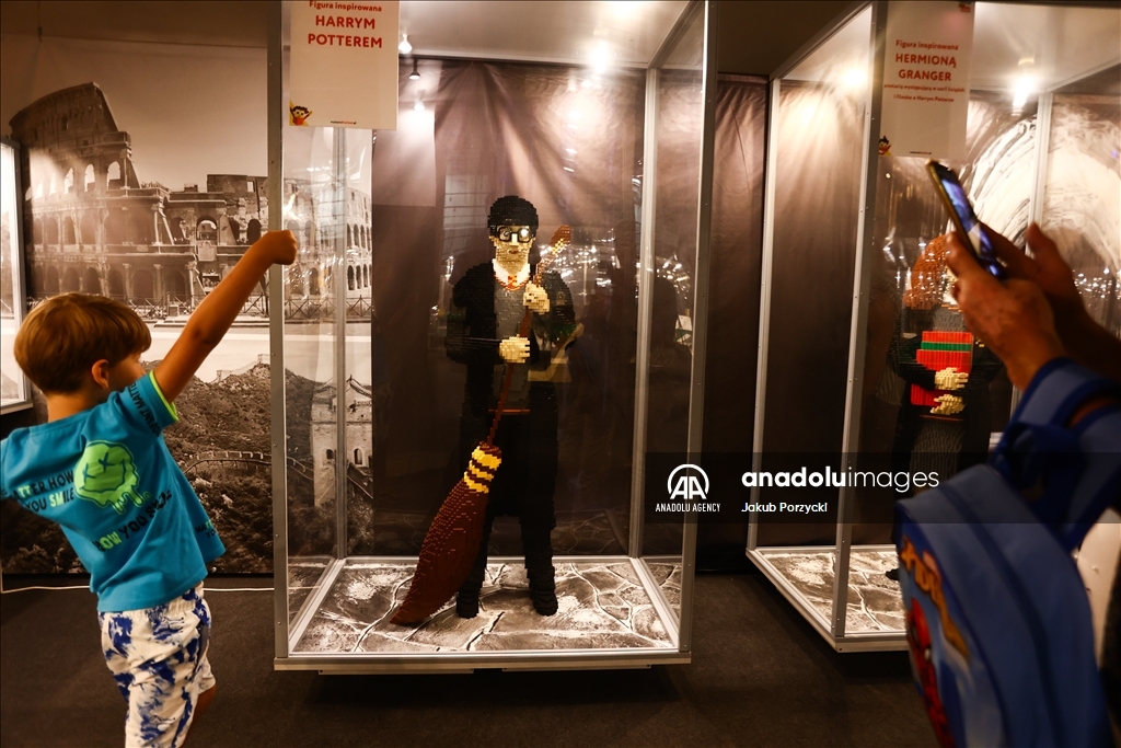 Lego bricks building exhibition in Poland