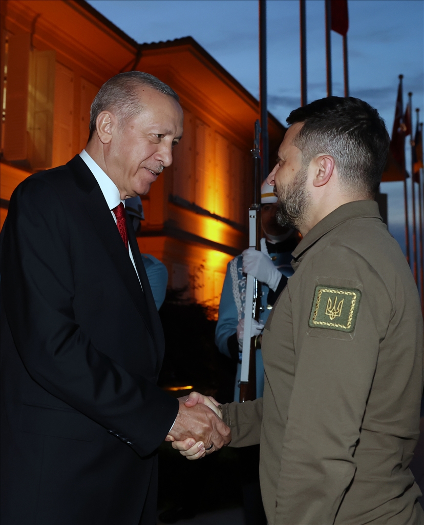 آغاز دیدار اردوغان و زلنسکی در استانبول