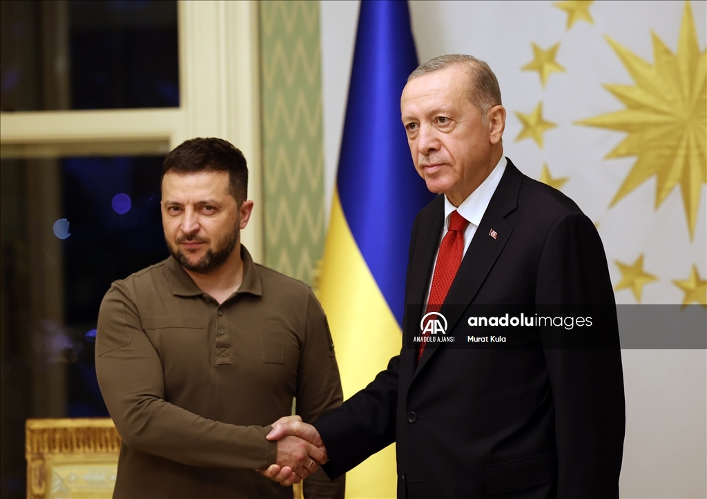 Cumhurbaşkanı Erdoğan - Ukrayna Devlet Başkanı Zelenskiy