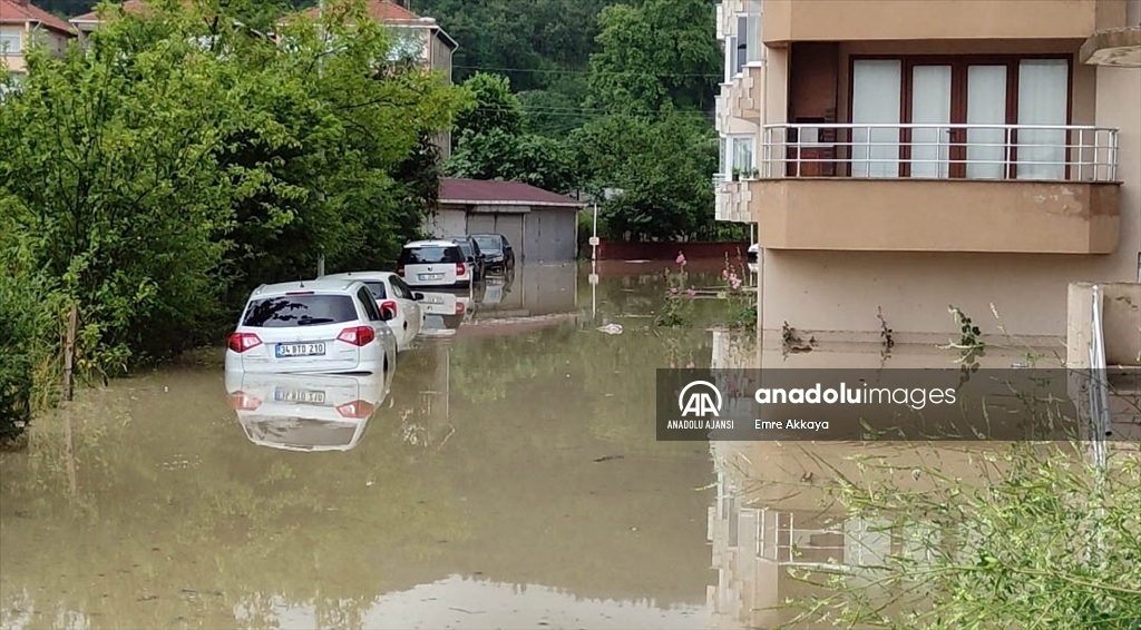 Kastamonu'nun Cide ilçesinde şiddetli yağış su baskınlarına neden oldu