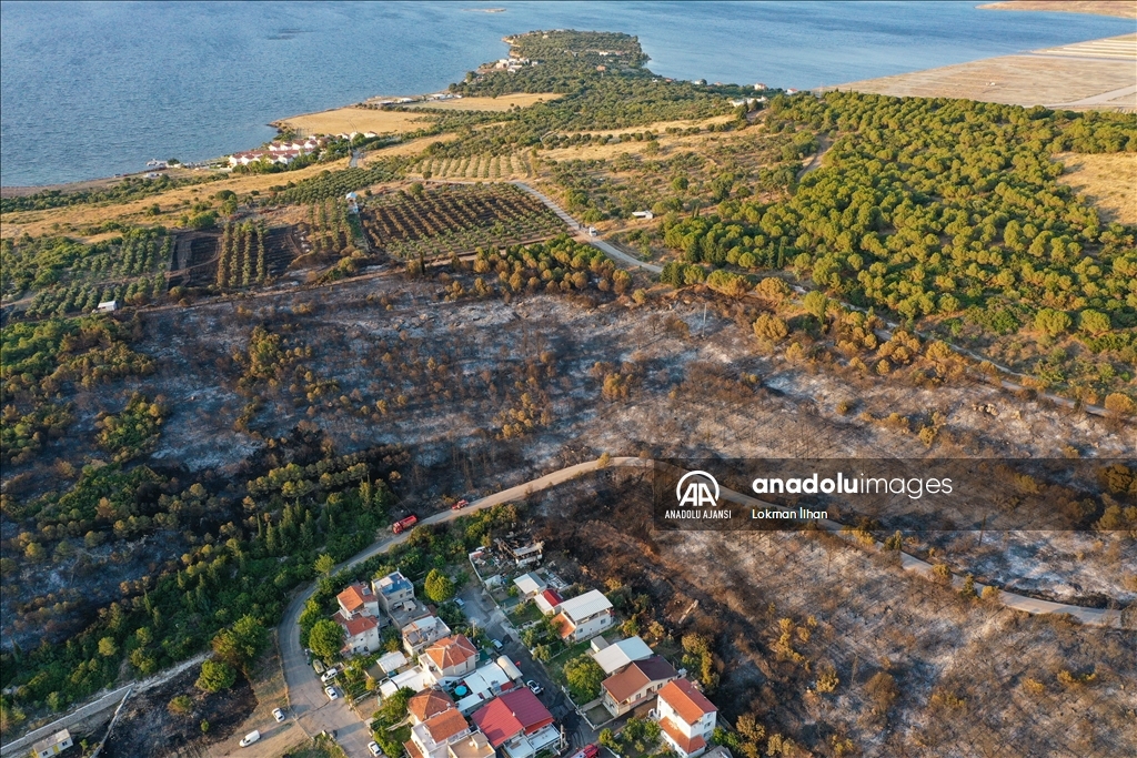 İzmir Aliağa'daki orman yangını kontrol altına alındı