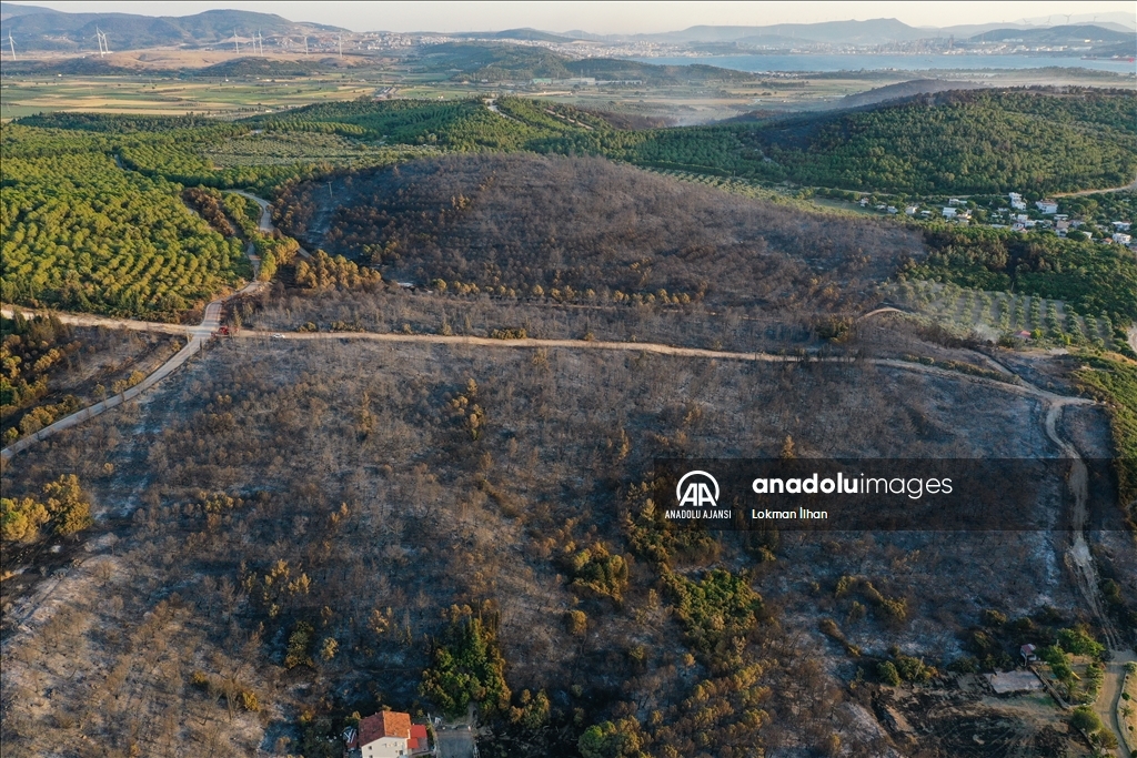 İzmir Aliağa'daki orman yangını kontrol altına alındı