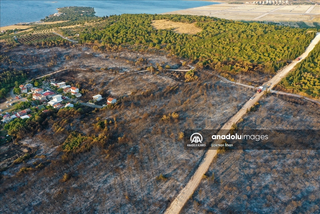 İzmir Aliağa'daki orman yangını kontrol altına alındı