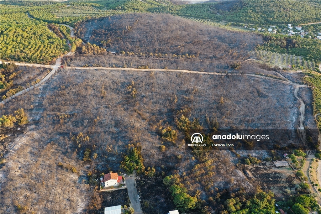 İzmir Aliağa'daki orman yangını kontrol altına alındı