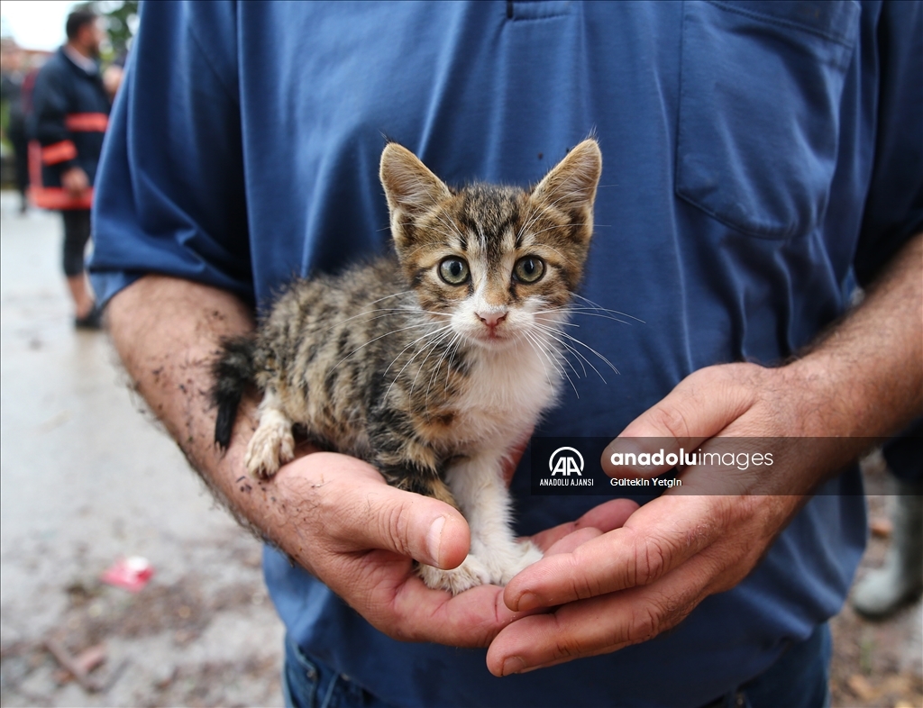 Giresun'da şiddetli yağış etkili oluyor