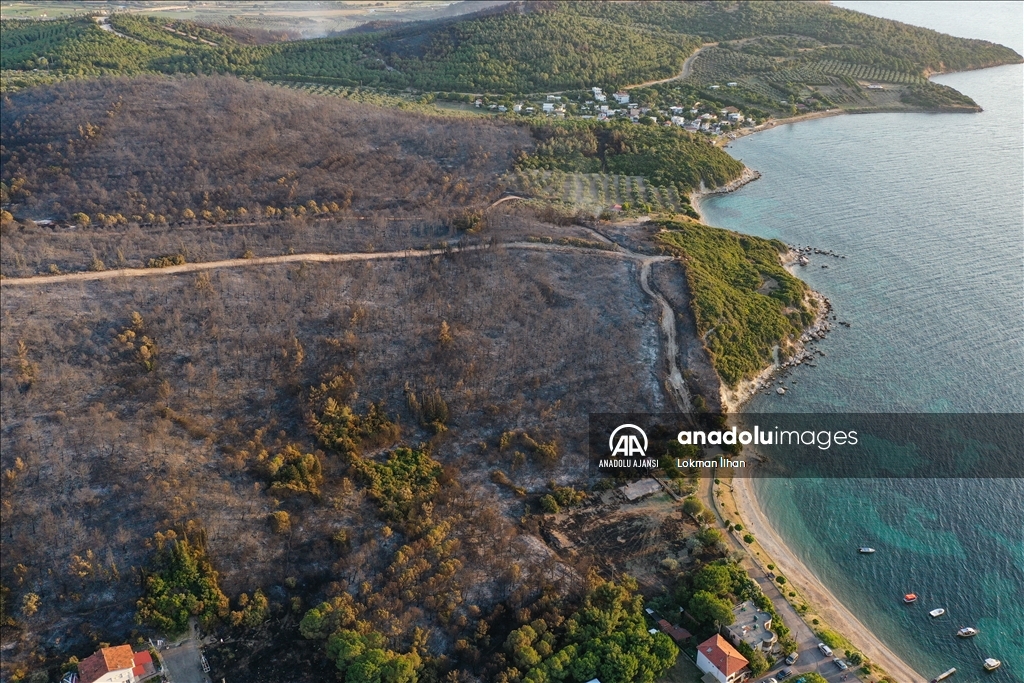 İzmir Aliağa'daki orman yangını kontrol altına alındı