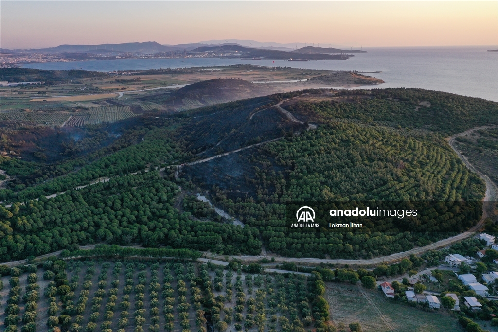 İzmir Aliağa'daki orman yangını kontrol altına alındı