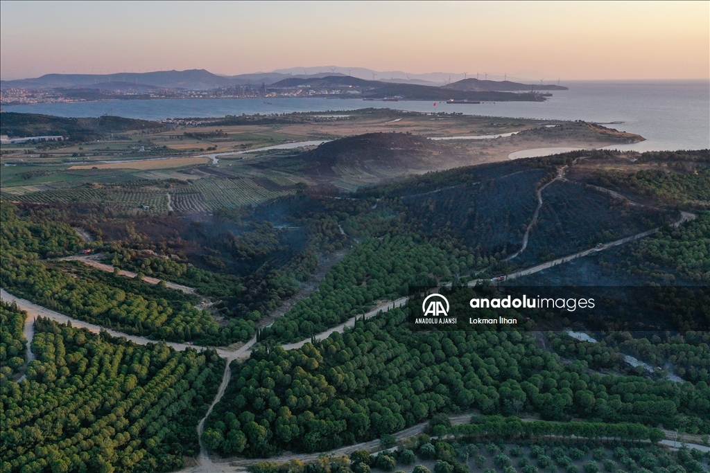 İzmir Aliağa'daki orman yangını kontrol altına alındı