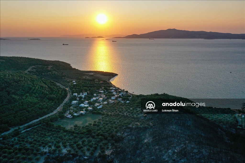 İzmir Aliağa'daki orman yangını kontrol altına alındı