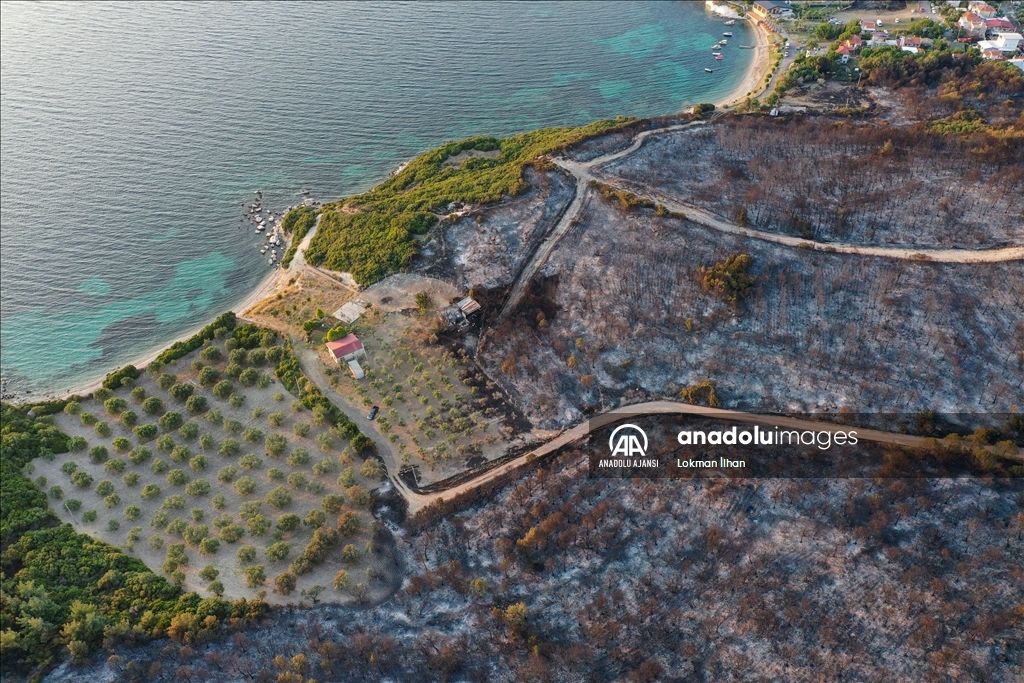 İzmir Aliağa'daki orman yangını kontrol altına alındı