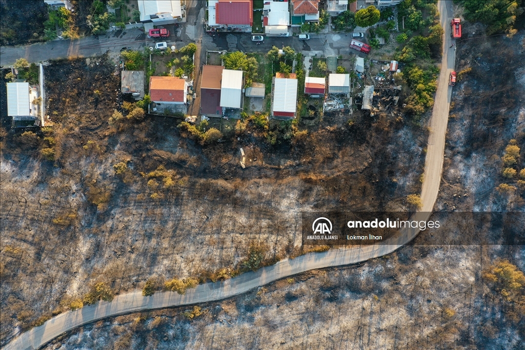 İzmir Aliağa'daki orman yangını kontrol altına alındı