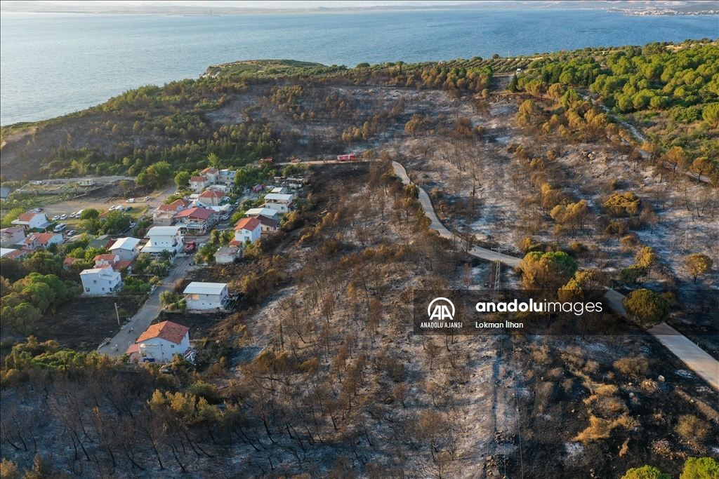İzmir Aliağa'daki orman yangını kontrol altına alındı