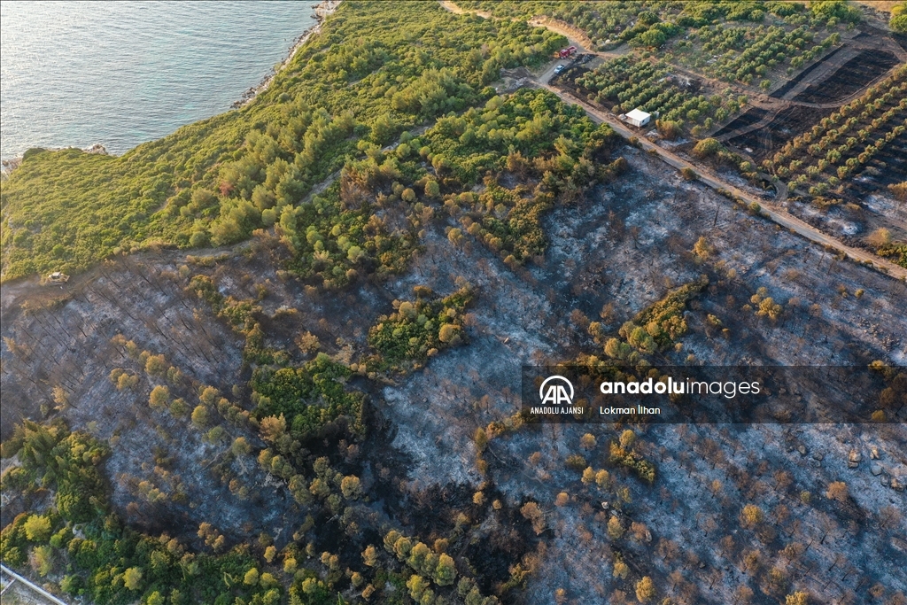İzmir Aliağa'daki orman yangını kontrol altına alındı