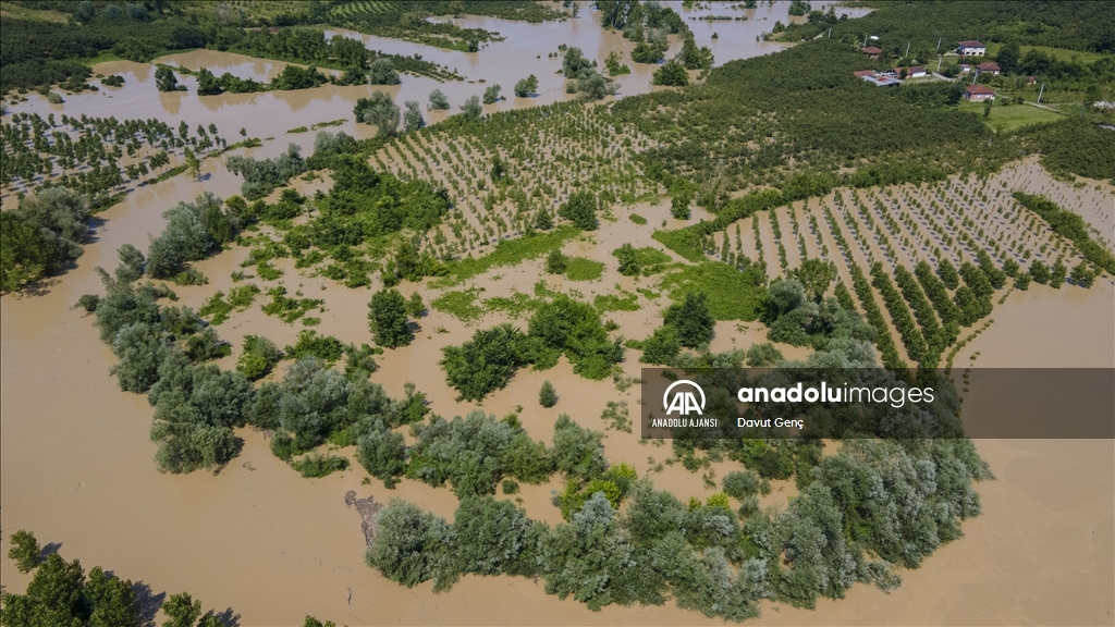 Melen Çayı'ndaki taşkınlar Kocaali ve Akçakoca ilçelerinde hasara neden oldu
