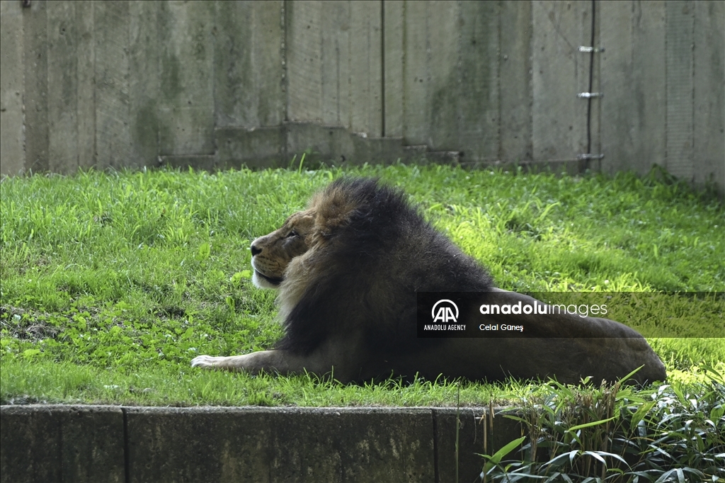 Smithsonian National Zoological Park in Washington