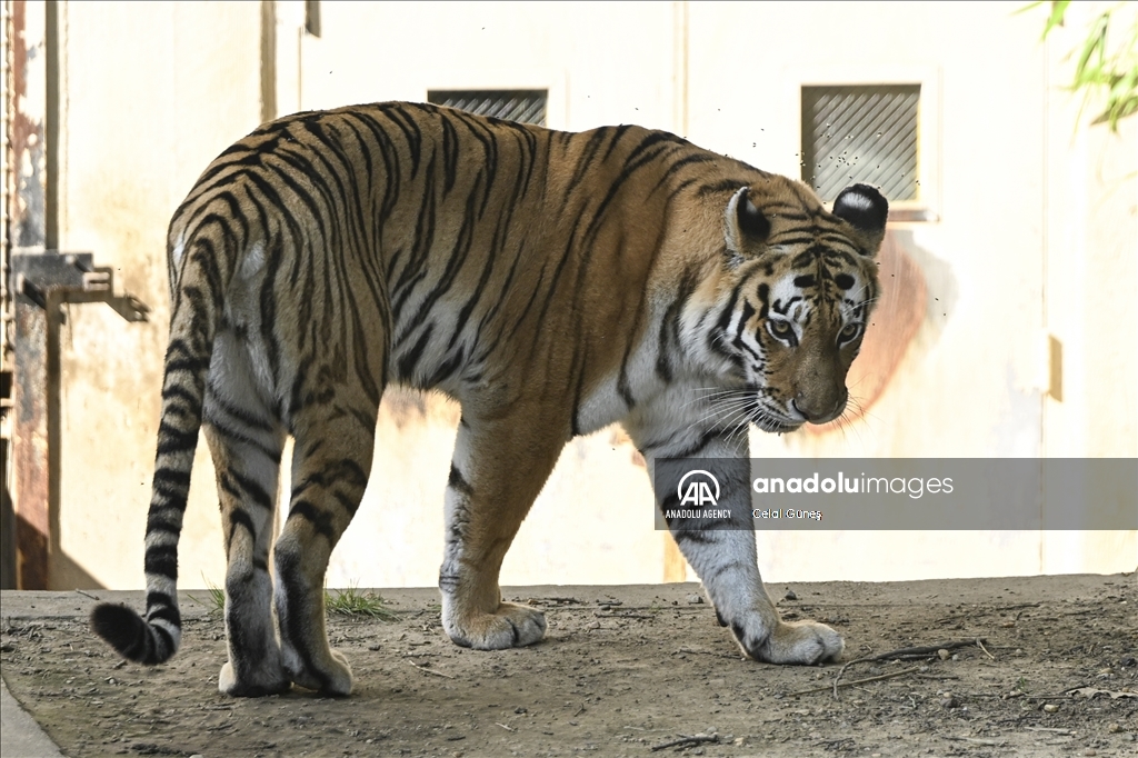 Smithsonian National Zoological Park in Washington
