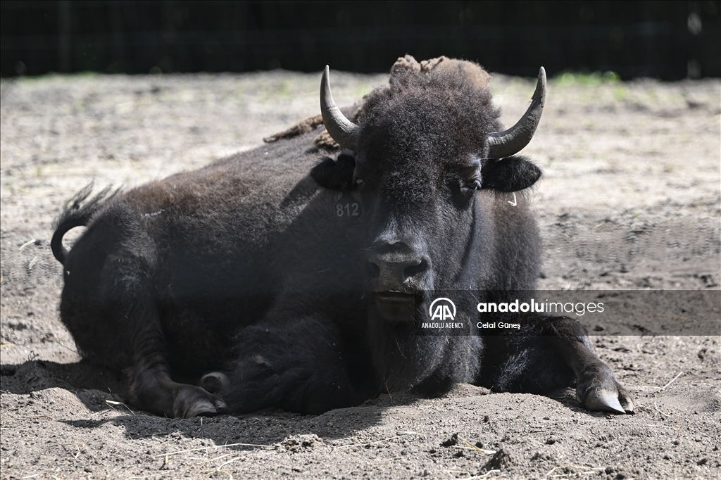 Smithsonian National Zoological Park in Washington