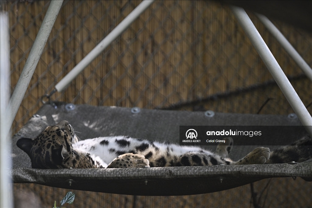 Smithsonian National Zoological Park in Washington