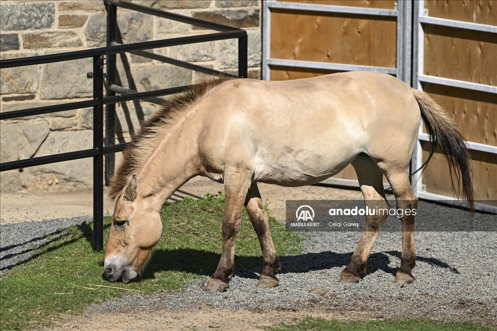 Smithsonian National Zoological Park in Washington