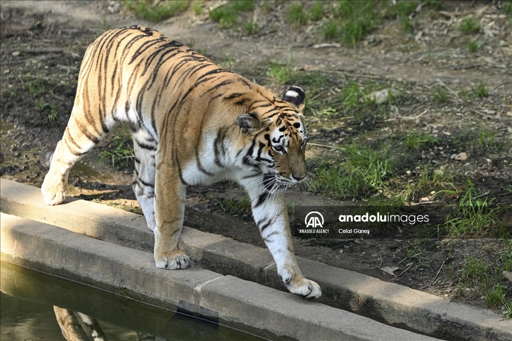 Smithsonian National Zoological Park in Washington