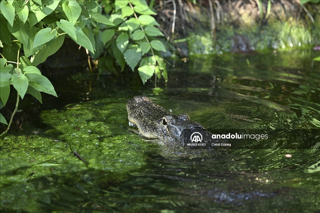 Smithsonian National Zoological Park in Washington