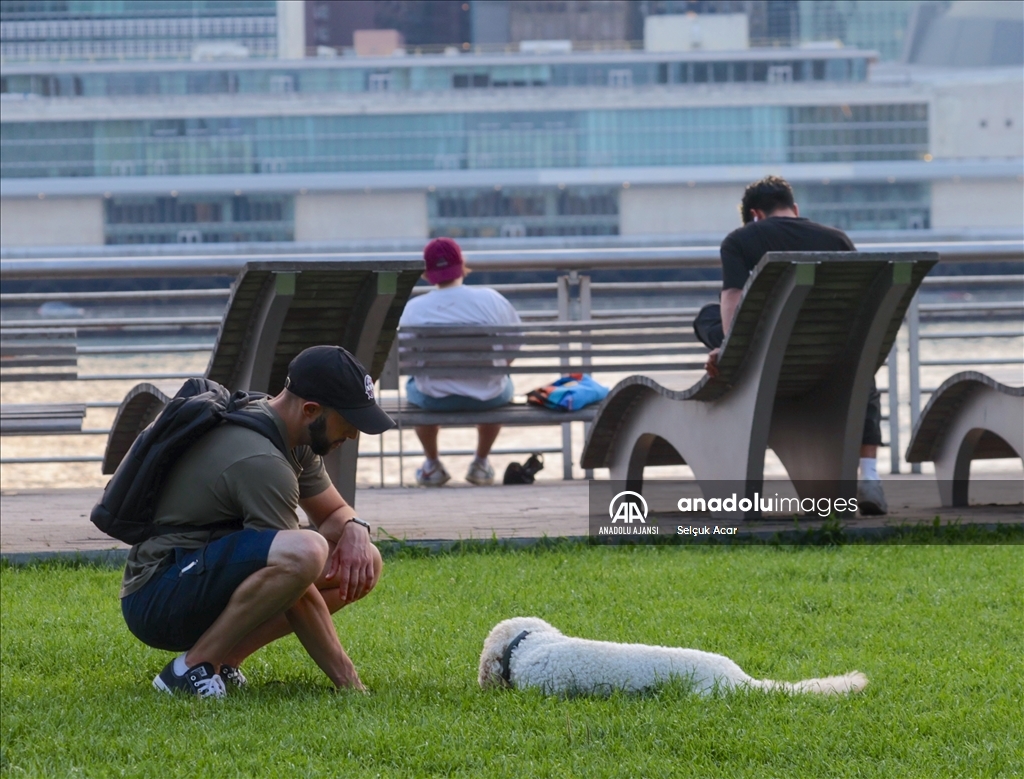 New York'ta günlük yaşam