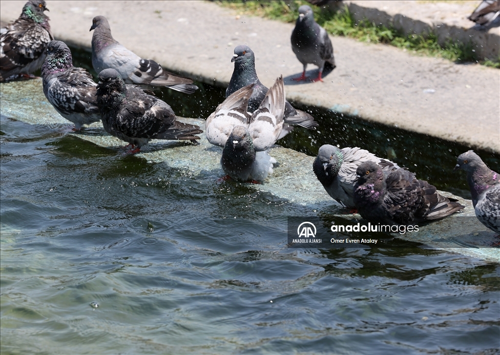 Ege'de sıcak hava etkili oluyor