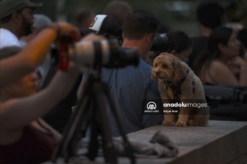 New York'ta günlük yaşam